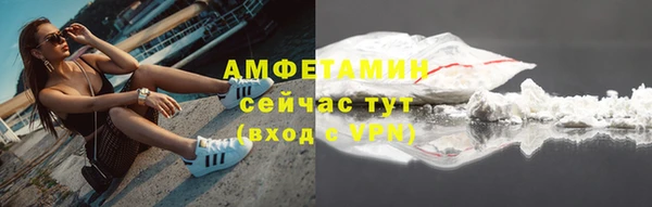 гашик Тайга