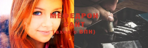 индика Сясьстрой