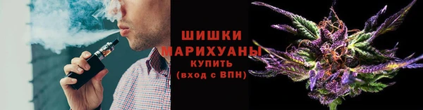 гашик Тайга