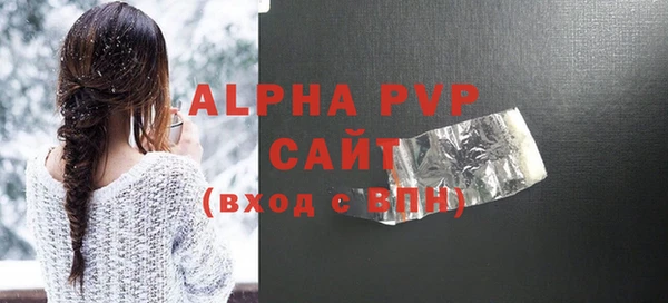 гашик Тайга
