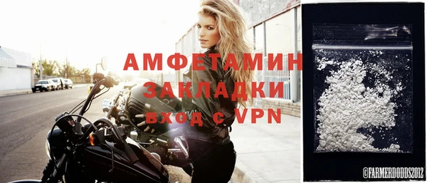 гашик Тайга