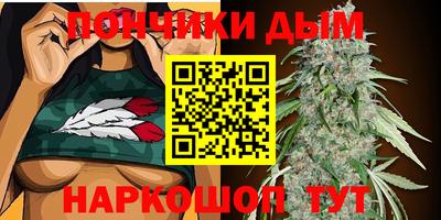 Альфа ПВП Аргун