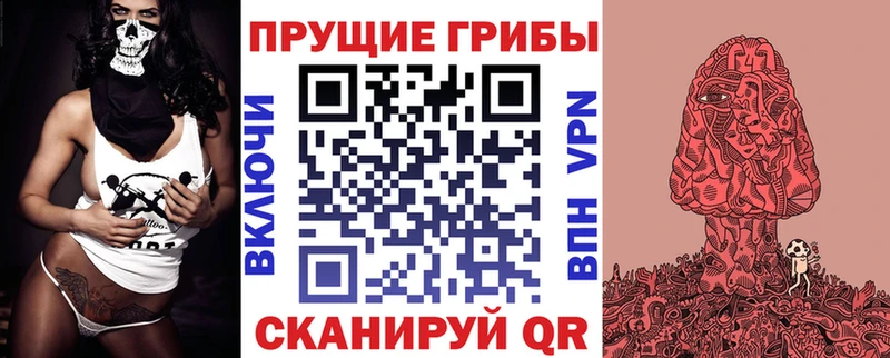 ссылка на мегу маркетплейс  Южноуральск  Псилоцибиновые грибы GOLDEN TEACHER 