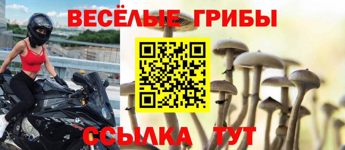 Псилоцибиновые грибы прущие грибы  Галлюциногенные грибы Psilocybe  Южноуральск  купить наркотики цена  Вход с VPN 