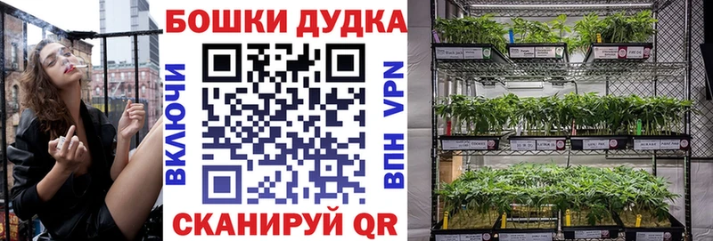 Канабис план  darknet какой сайт  Южноуральск  цена  